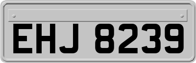 EHJ8239