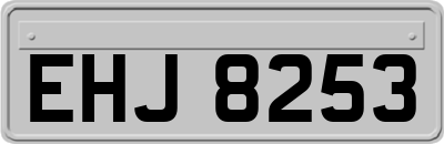 EHJ8253