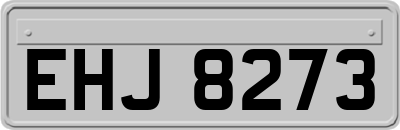 EHJ8273