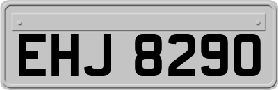 EHJ8290