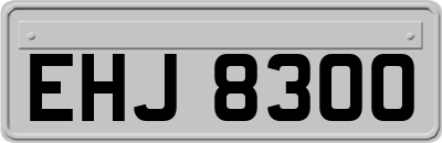 EHJ8300