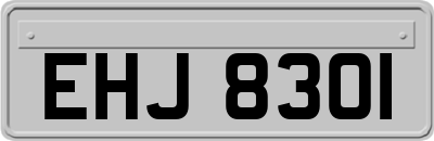 EHJ8301