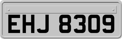 EHJ8309