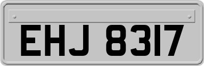 EHJ8317