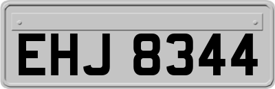 EHJ8344