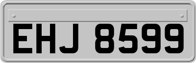 EHJ8599