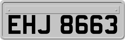 EHJ8663