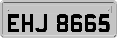 EHJ8665