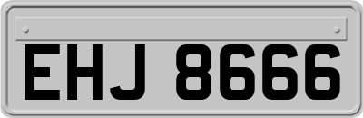 EHJ8666