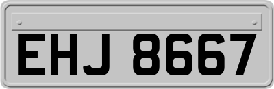 EHJ8667