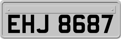 EHJ8687