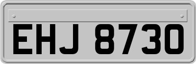 EHJ8730