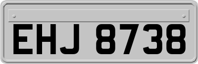 EHJ8738
