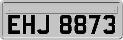 EHJ8873