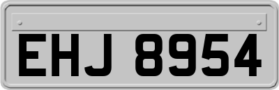 EHJ8954