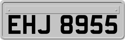 EHJ8955