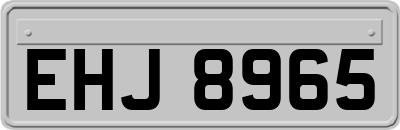 EHJ8965