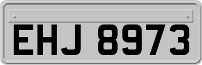 EHJ8973