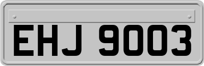 EHJ9003