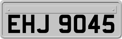 EHJ9045