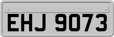 EHJ9073
