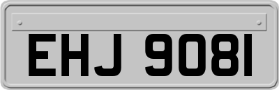EHJ9081