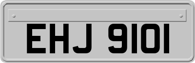 EHJ9101