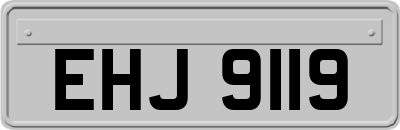 EHJ9119