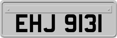 EHJ9131