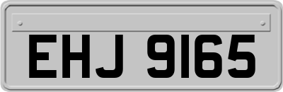EHJ9165