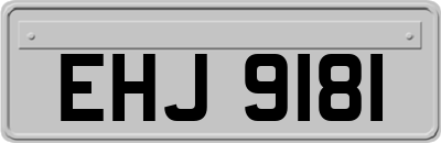 EHJ9181