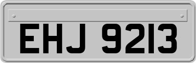 EHJ9213