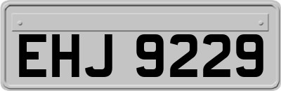 EHJ9229