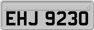 EHJ9230