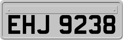 EHJ9238