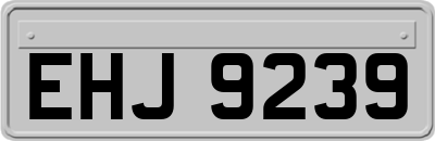 EHJ9239