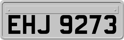 EHJ9273