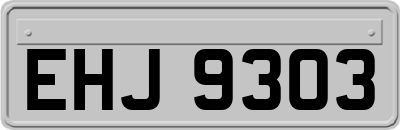 EHJ9303