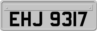 EHJ9317