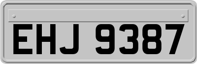 EHJ9387