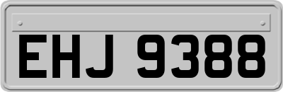 EHJ9388