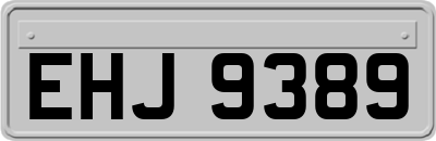 EHJ9389