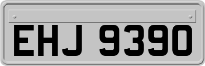 EHJ9390