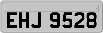EHJ9528