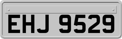 EHJ9529