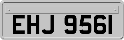 EHJ9561