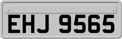 EHJ9565