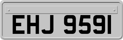 EHJ9591