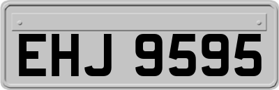 EHJ9595