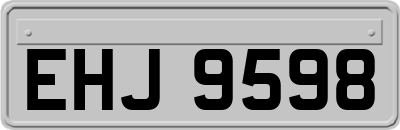 EHJ9598